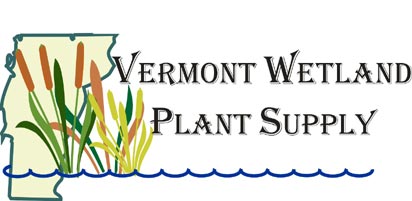 Vermont Wetland Plant Supply, LLC - Logo