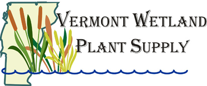 Vermont Wetland Plant Supply