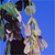 Box elder (Acer negundo)