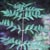 Royal fern (Osmunda regalis)