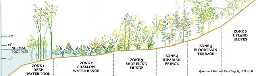 Stormwater planting zones