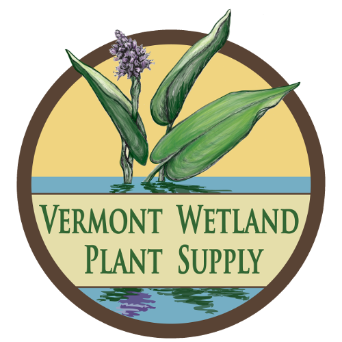 Vermont Wetland Plant Supply